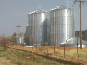 南非 5臺(tái)1250t 高粱倉(cāng)