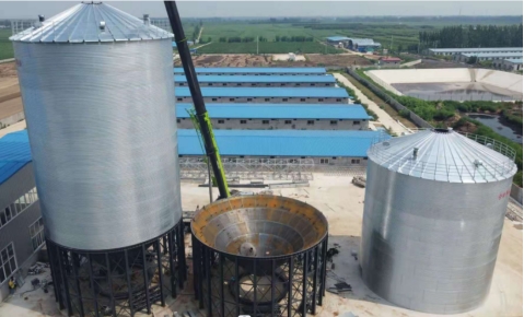 德州2乘1500T鋼板倉項(xiàng)目