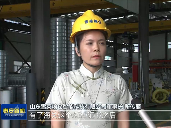 緊跟政策風向，把握跨海之帆-雪萊將以滿腔熱情讓世界愛上中國造